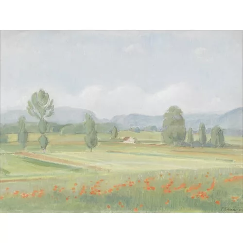 Traugott Senn — Weite Landschaft mit Mohnfeld.