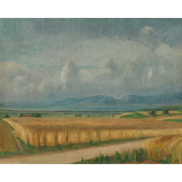 Sommerliche Feldlandschaft am See