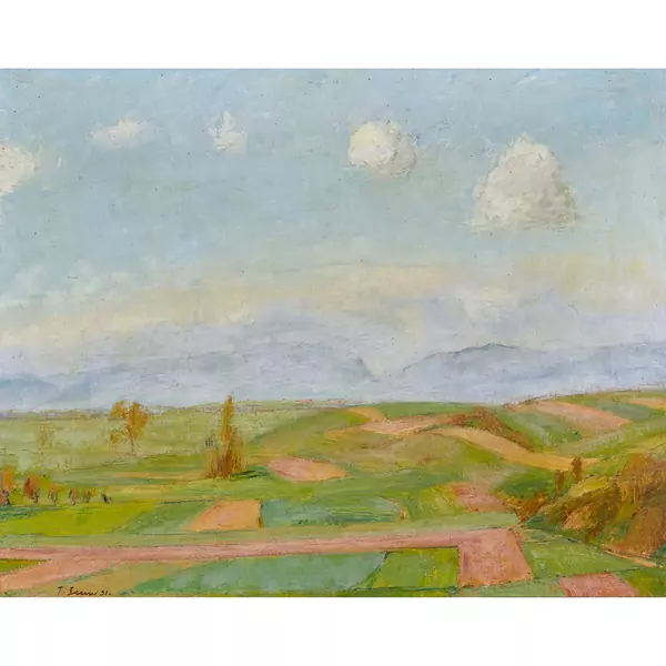 Weite Feldlandschaft