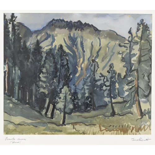 Turo Pedretti — "Crasta Mora (Abend)".