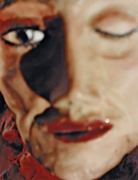 Urs Fischer — La rosa blanca, 1997 aus "Portfolio mit 13 Farbfotografien", 1998