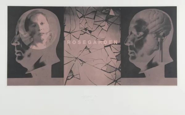 Urs Lüthi — Rosegarden, 1994