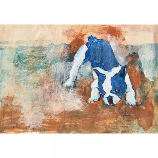 Französische Bulldogge
