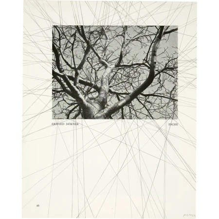 Václav Pozárek — Esche. - Schwäne — Galerie Kornfeld