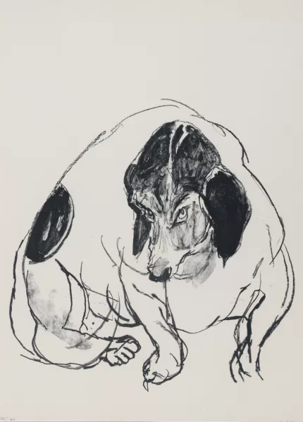 Varlin — Zita