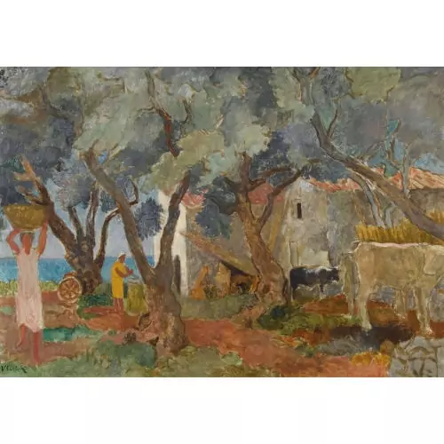 Die Olivenernte