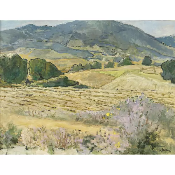 Hügelige Feldlandschft im Sommer