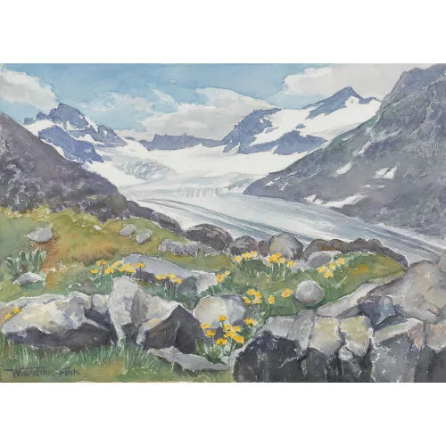 Waldemar Fink — Blühende Bergwiese vor Gletscherlandschaft.