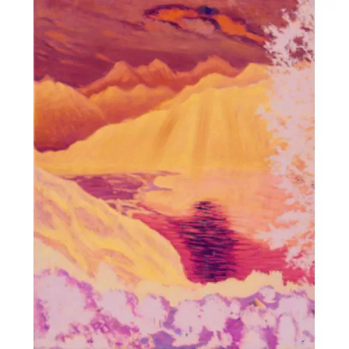 Waldemar Fink — "Mondnacht auf Beatenberg".