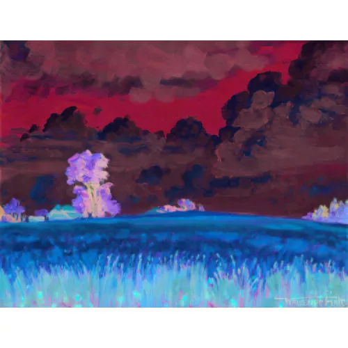 Waldemar Fink — "Aufsteigende Gewitterwolken".