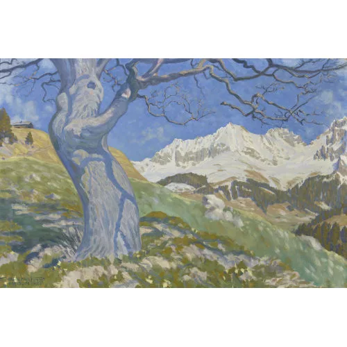 Waldemar Fink — Frühlingshafte Sicht auf den Wildstrubel.