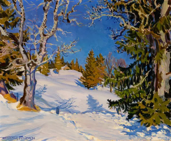 Sonniger Wintertag
