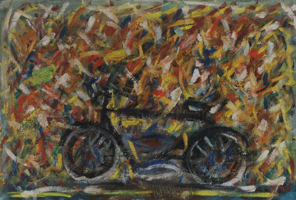 Walter Arnold Steffen — Fahrrad