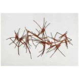 Rotes Metallrelief - Metallo relievo bicromo 1959
