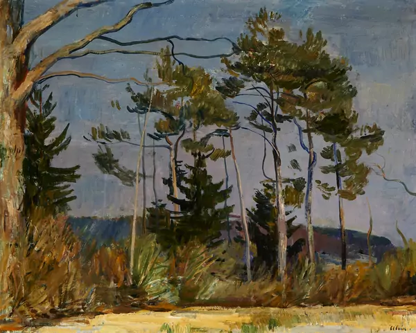 Sommerlandschaft