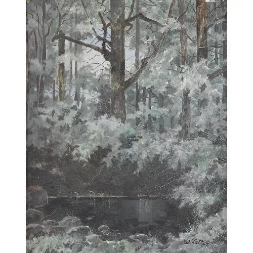 Walter Feller-Brand — See im sommerlichen Wald.