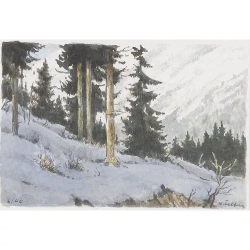 Walter Feller-Brand — Frühlingsstimmung in den Bergen.