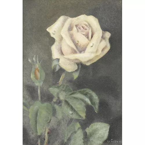 Walter Feller-Brand — Weisse Rose.