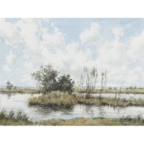 Walter Feller-Brand — Sommerliche Moorlandschaft.