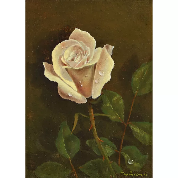 Walter Feller-Brand — Rose mit Tautropfen.
