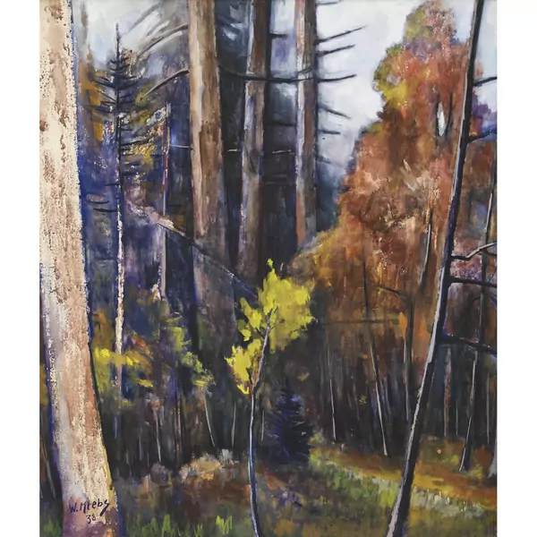 "Waldlandschaft in der Nähe Wartboden"
