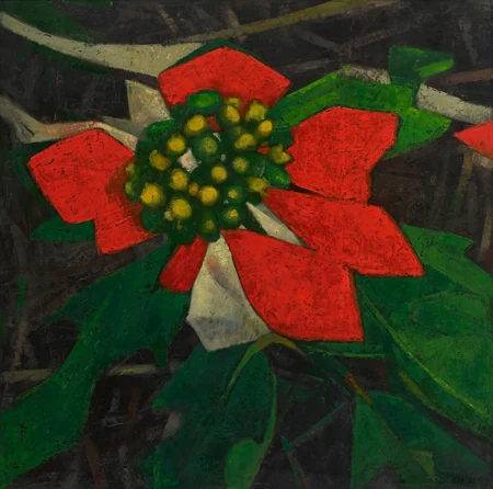 Poinsettia