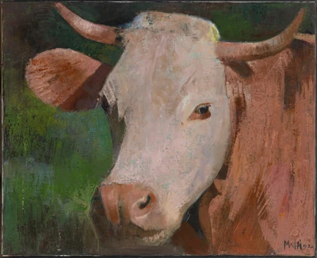 Vache