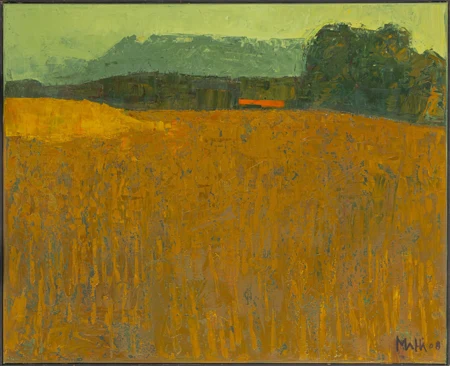 Champ de blé