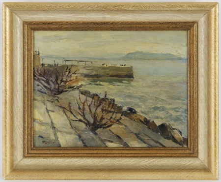 Bord du lac de Neuchâtel