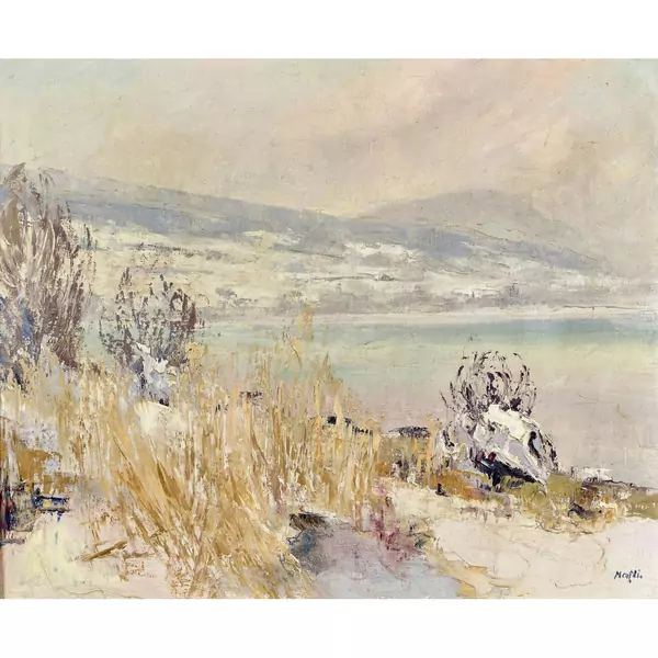 Lac de Neuchâtel en hiver avec montagne de Boudry