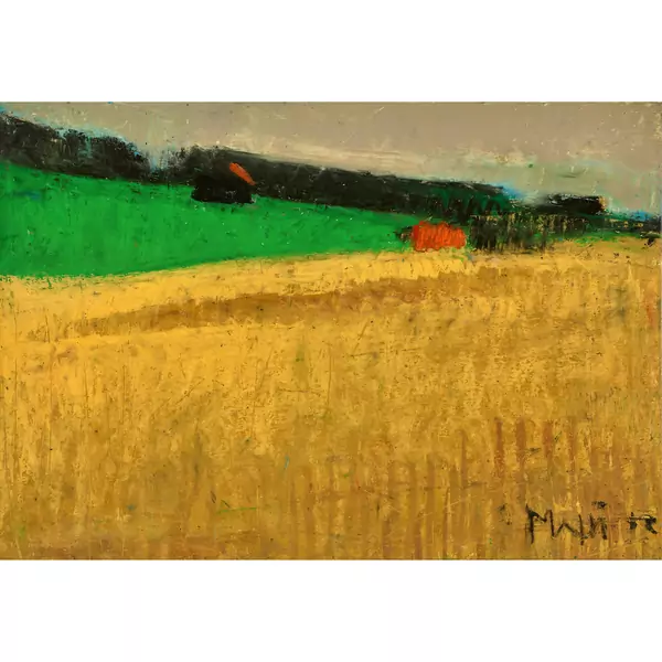 Feldlandschaft im Sommer