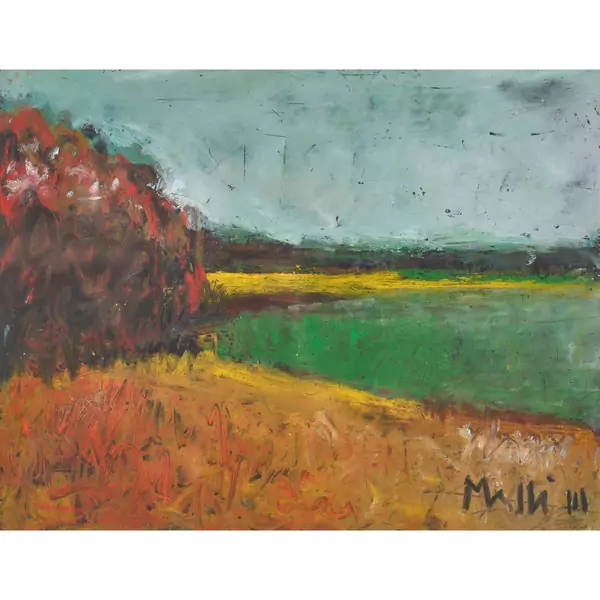 Uferlandschaft