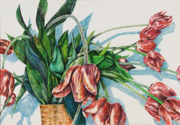 Walter Pfeiffer — Tulpenbouquet in Vase, 1972