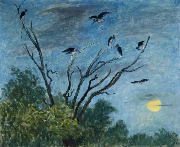 Vögel