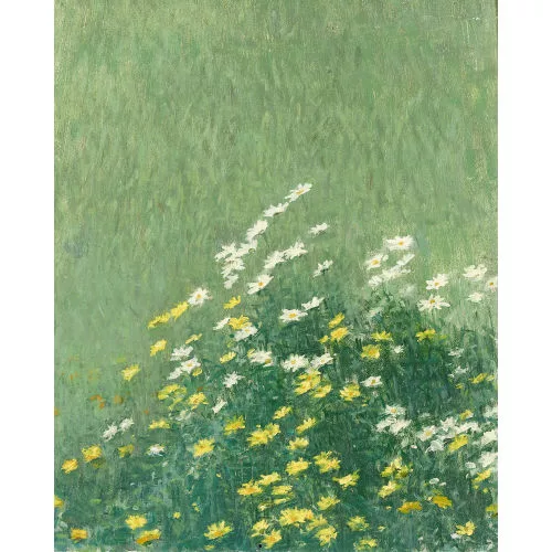 Werner Gfeller — Wiesenpartie mit Margeriten und Arnika.