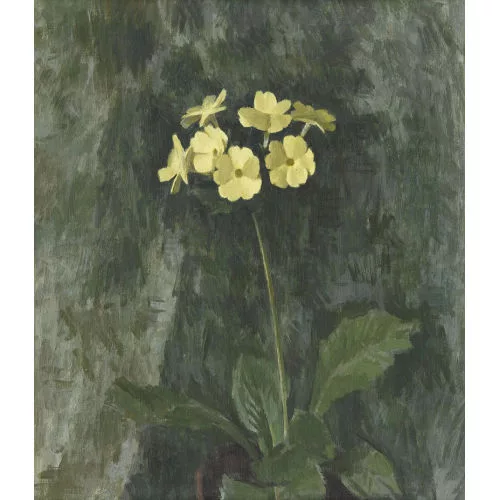 Werner Gfeller — Gelbe Primel.