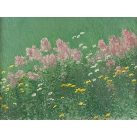 Wiesenpartie mit Blumen