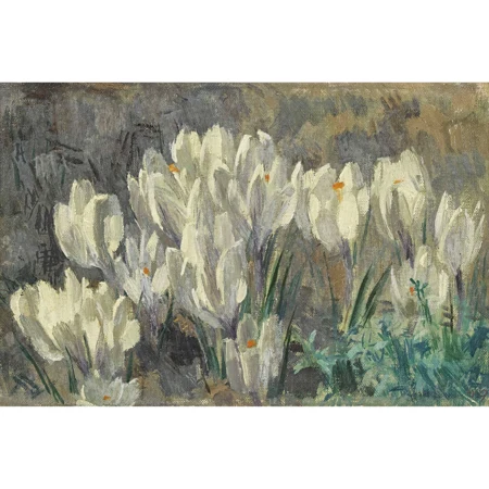 Krokusse