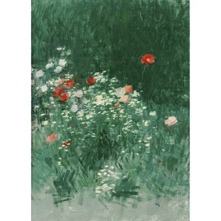 Wiese mit Mohnblumen