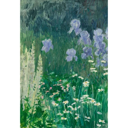 Wiese mit Schwertlilien und Margeriten