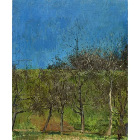 Landschaft mit Bäumen