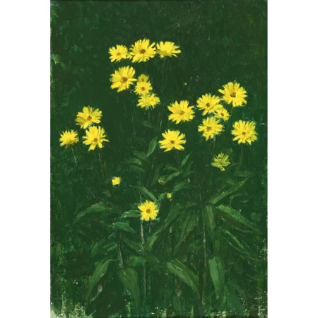 Wiesenblumen