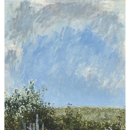 Wiesenpartie unter Wolkenhimmel