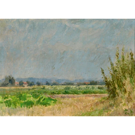 Feldlandschaft