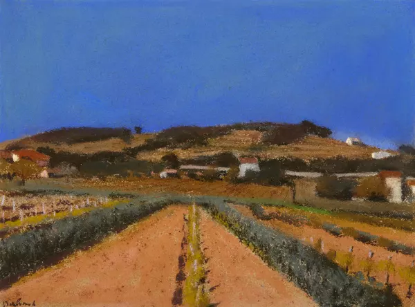 Felder bei St. Tropez