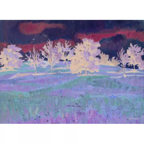 Werner Schmutz — Baumbestandene Sommerwiese.