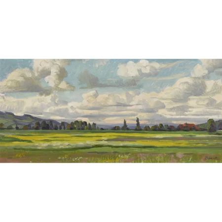 Weite Feldlandschaft