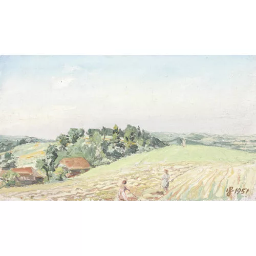 Werner Schwarz — Hügelige Feldlandschaft im Sommer.
