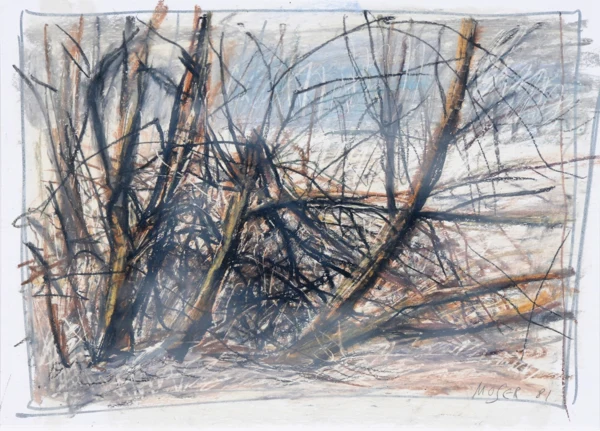 Wilfrid Moser — Unterholz, 1981