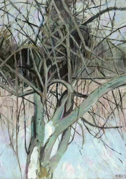 Wilfrid Moser — Baum im Schnee, 1981/82